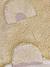 Tapis en coton ours miel - vertbaudet enfant 