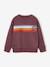 Sweat garçon col rond blanc chiné+mauve - vertbaudet enfant 