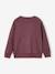 Sweat garçon col rond blanc chiné+mauve - vertbaudet enfant 