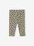 Bedrukte babylegging in ribgebreide stof saliegroen+taupe - vertbaudet enfant 