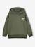 Sweater met capuchon en motief op de borst Basics jongens saliegroen+sinaasappel - vertbaudet enfant 
