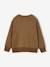 Sweat garçon col rond noisette - vertbaudet enfant 
