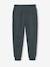 Pantalon jogging 'Athletic' garçon en molleton anthracite+chocolat+lichen - vertbaudet enfant 