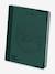 Verlichte tablet K-draw PAD donkergroen - vertbaudet enfant 
