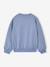Meisjessweater met ronde hals chambrayblauw+gemêleerd grijs - vertbaudet enfant 
