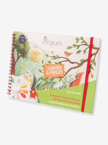 Set met 5-8 verhaaltjes en leren lezen meerkleurig - vertbaudet enfant 