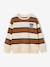 Sweat garçon col rond marine+noisette+pistache - vertbaudet enfant 