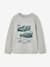 Jongens-T-shirt met ludiek patroon ecru+gemêleerd grijs+leigrijs - vertbaudet enfant 