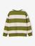Jongenssweater met ronde hals hazelnoot+marineblauw+pistache - vertbaudet enfant 