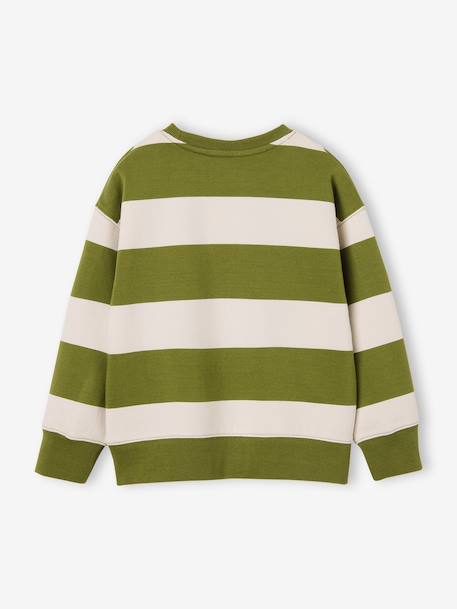 Sweat garçon col rond marine+noisette+pistache - vertbaudet enfant 