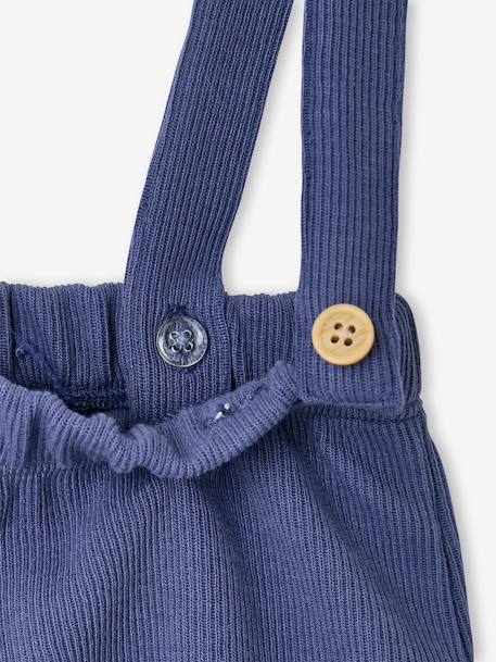 Babyset met body en broek middenblauw - vertbaudet enfant 