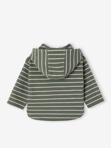 Gestreept T-shirt met capuchon jongensbaby groen+ijsblauw+terracottategel+zandbeige - vertbaudet enfant 