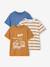 Lot 3 T-shirts manches courtes bleu pétrole+caramel+marine+noix de pécan+vert amande+vert sauge - vertbaudet enfant 