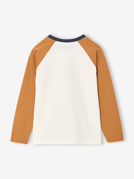 T-shirt manches longues garçon bordeaux+ocre+vert sauge - vertbaudet enfant 
