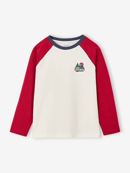 T-shirt manches longues garçon bordeaux+ocre+vert sauge - vertbaudet enfant 