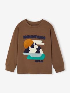 -T-shirt manches longues garçon