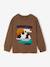 T-shirt manches longues garçon marine+noisette - vertbaudet enfant 