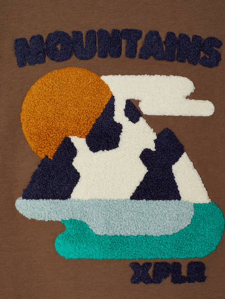Jongensshirt met lange mouwen hazelnoot+marineblauw - vertbaudet enfant 