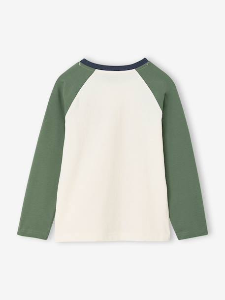 Jongensshirt met lange mouwen bordeauxrood+okergeel+saliegroen - vertbaudet enfant 