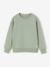 Lot de 2 sweats garçon col rond vert sauge - vertbaudet enfant 