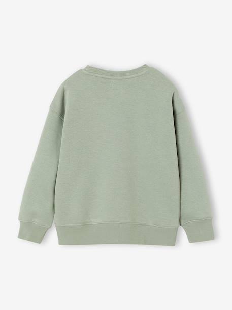 Lot de 2 sweats garçon col rond vert sauge - vertbaudet enfant 