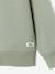 Lot de 2 sweats garçon col rond vert sauge - vertbaudet enfant 