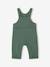 Salopette en molleton bébé marine+vert foncé - vertbaudet enfant 