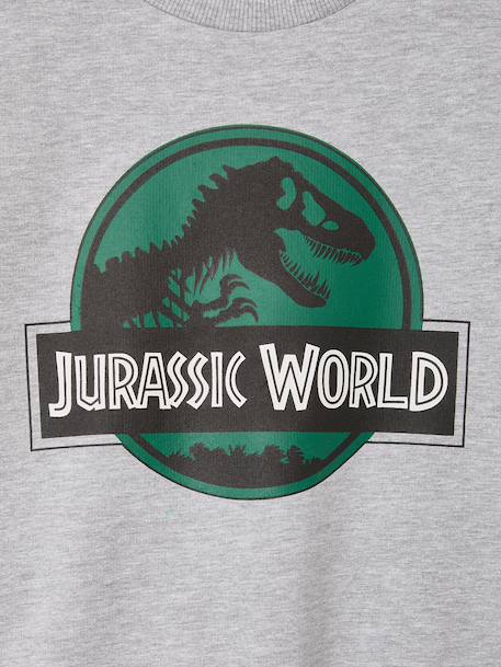 JURASSIC WORLD jongenssweater gemêleerd grijs - vertbaudet enfant 