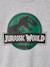 JURASSIC WORLD jongenssweater gemêleerd grijs - vertbaudet enfant 