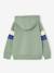 Sweat garçon à capuche motif placé blanc+marine+noix de pécan+vert sauge - vertbaudet enfant 