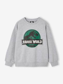 Jongens-JURASSIC WORLD jongenssweater