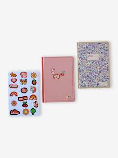 Jongens-Accessoires-Set van 2 schriftjes met stickers