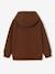 Sweat à capuche Minecraft garçon chocolat - vertbaudet enfant 