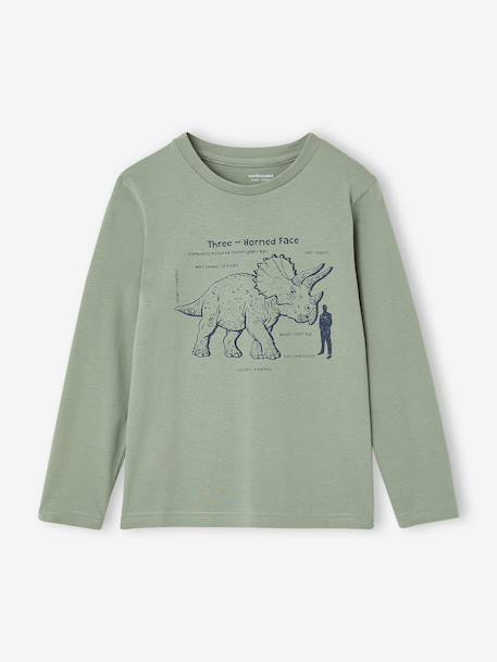 Lot de 3 T-shirts manches longues garçon caramel+lilas+rouille+vert sauge - vertbaudet enfant 