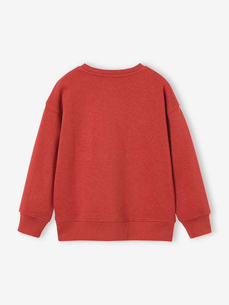 Sweat col rond garçon marine+tomette - vertbaudet enfant 