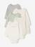 Lot de 5 bodies naissance manches longues vert sauge - vertbaudet enfant 