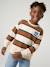 Sweat garçon col rond marine+noisette+pistache - vertbaudet enfant 