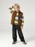 Sweat garçon col rond marine+noisette+pistache - vertbaudet enfant 