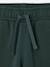 Pantalon de jogging garçon bleu jean+bordeaux+vert sapin - vertbaudet enfant 