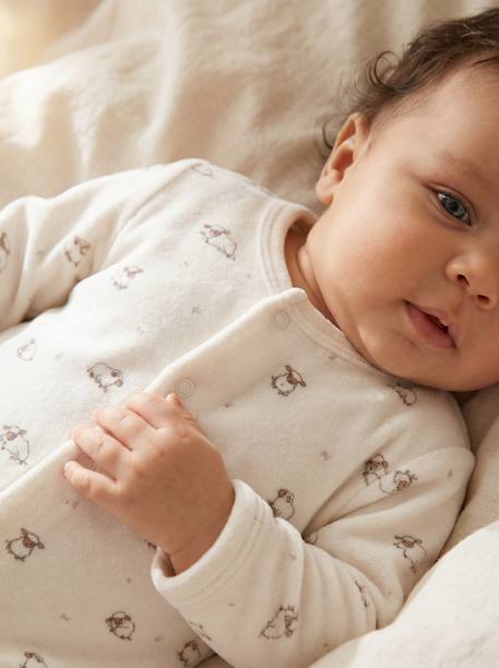 Set van 2 boxpakken voor baby's cappuccino+lichtroze+saliegroen - vertbaudet enfant 