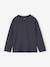 Lot de 3 T-shirts manches longues garçon bleu roi+vert - vertbaudet enfant 