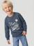 Jongenssweater met print voorop gemêleerd rood+gemêleerd wit+nachtblauw - vertbaudet enfant 