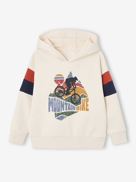 Garçon-Sweat garçon à capuche motif placé
