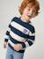 Sweat garçon col rond marine+noisette+pistache - vertbaudet enfant 