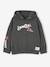 Sweat à capuche garçon manches longues lichen - vertbaudet enfant 