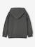 Sweat à capuche garçon manches longues lichen - vertbaudet enfant 