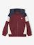 Sweat zippé garçon capuche coloblock bleu moyen+bordeaux+gris chiné+ocre+vert - vertbaudet enfant 