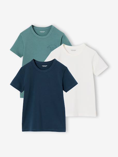 Garçon-Lot de 3 T-shirts manches courtes garçon