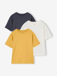 -Lot de 3 T-shirts garçon manches courtes