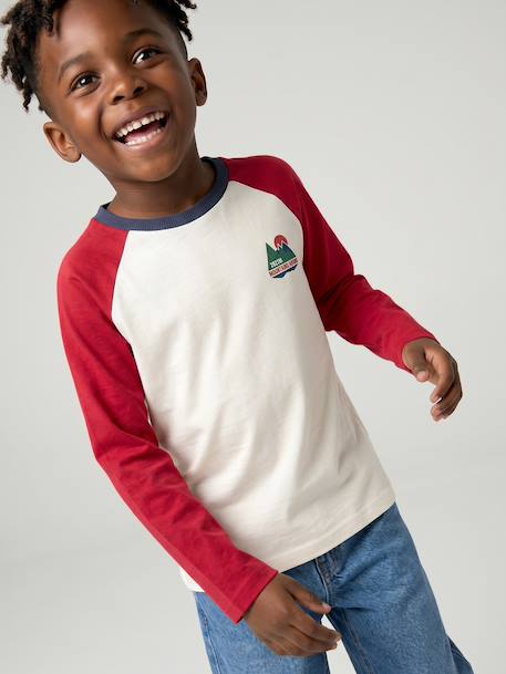 Jongensshirt met lange mouwen bordeauxrood+okergeel+saliegroen - vertbaudet enfant 